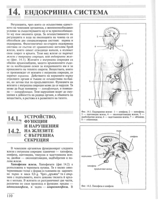 учебник по-биология-за-8-ми-клас