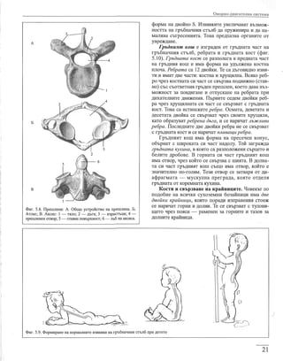 учебник по-биология-за-8-ми-клас
