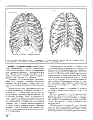 учебник по-биология-за-8-ми-клас