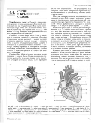 учебник по-биология-за-8-ми-клас