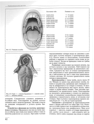 учебник по-биология-за-8-ми-клас