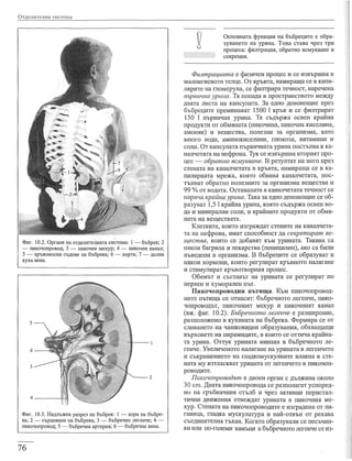 учебник по-биология-за-8-ми-клас