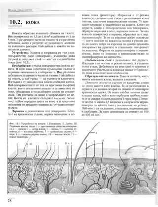 учебник по-биология-за-8-ми-клас