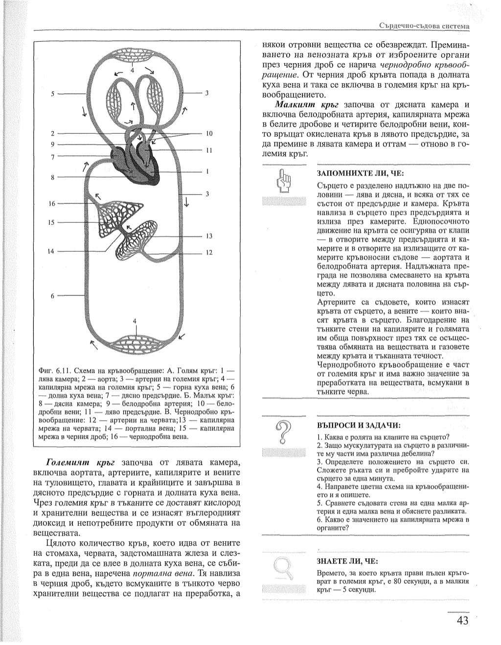 учебник по-биология-за-8-ми-клас