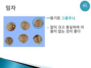  융기된 그물무늬
 알이 크고 충실하며 이
물이 없는 것이 좋다
 