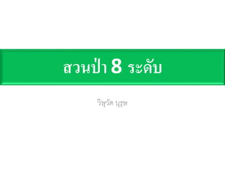 สวนป่ า 8 ระดับ
วิษุวัต บุรุษ
 