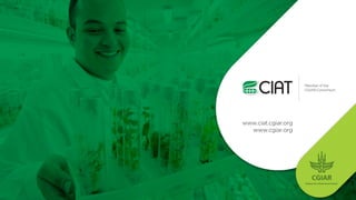 Mainstreaming e-data collection in CIAT programs in Africa