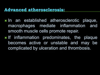  In an established atherosclerotic plaque,
macrophages mediate inflammation and
smooth muscle cells promote repair.
 If inflammation predominates, the plaque
becomes active or unstable and may be
complicated by ulceration and thrombosis.
 