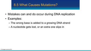 © Cengage Learning 2015
8.5 What Causes Mutations?
• Mistakes can and do occur during DNA replication
• Examples:
– The wrong base is added to a growing DNA strand
– A nucleotide gets lost, or an extra one slips in
 
