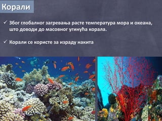 Корали
 Због глобалног загревања расте температура мора и океана,
што доводи до масовног угинућа корала.
 Корали се користе за израду накита
 