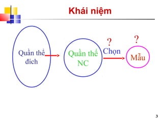8.phuong phap chon mau, co mau Slide 3