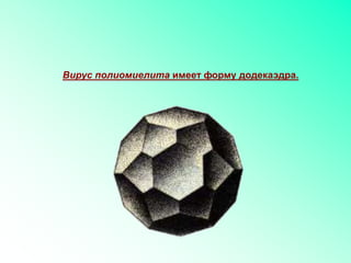 Вирус полиомиелита имеет форму додекаэдра.
 