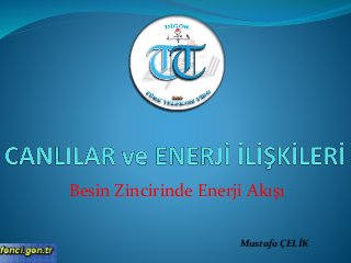 Besin Zincirinde Enerji Akışı
Mustafa ÇELİK
 