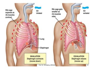 12Prof. Dr. RS Mehta, BPKIHS
 