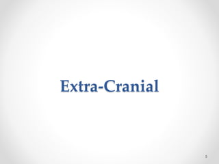 Extra-Cranial
5
 