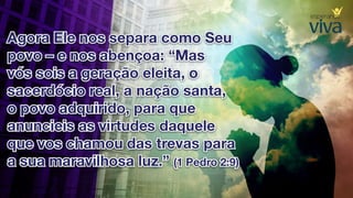 8. sábado para descansar