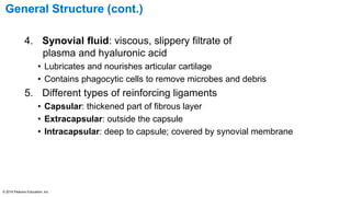 General Structure (cont.)
4. Synovial fluid: viscous, slippery filtrate of
plasma and hyaluronic acid
• Lubricates and nourishes articular cartilage
• Contains phagocytic cells to remove microbes and debris
5. Different types of reinforcing ligaments
• Capsular: thickened part of fibrous layer
• Extracapsular: outside the capsule
• Intracapsular: deep to capsule; covered by synovial membrane
© 2016 Pearson Education, Inc.
 