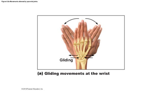 gliding movements occur when one flat, or nearly flat, bone surface glides or slips over another. gliding movements occur when one flat, or nearly flat, bone surface glides or slips over another.