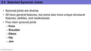 8.5 Selected Synovial Joints
• Synovial joints are diverse
• All have general features, but some also have unique structural
features, abilities, and weaknesses
• Five main synovial joints
– Knee
– Shoulder
– Elbow
– Hip
– Jaw
© 2016 Pearson Education, Inc.
 