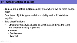 8.1 Classification of Joints
• Joints, also called articulations: sites where two or more bones
meet
• Functions of joints: give skeleton mobility and hold skeleton
together
• Two classifications:
1. Structural: three types based on what material binds the joints
and whether a cavity is present
• Fibrous
• Cartilaginous
• Synovial
© 2016 Pearson Education, Inc.
 