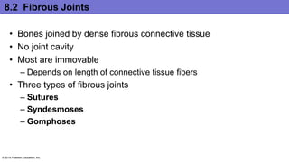 8.2 Fibrous Joints
• Bones joined by dense fibrous connective tissue
• No joint cavity
• Most are immovable
– Depends on length of connective tissue fibers
• Three types of fibrous joints
– Sutures
– Syndesmoses
– Gomphoses
© 2016 Pearson Education, Inc.
 