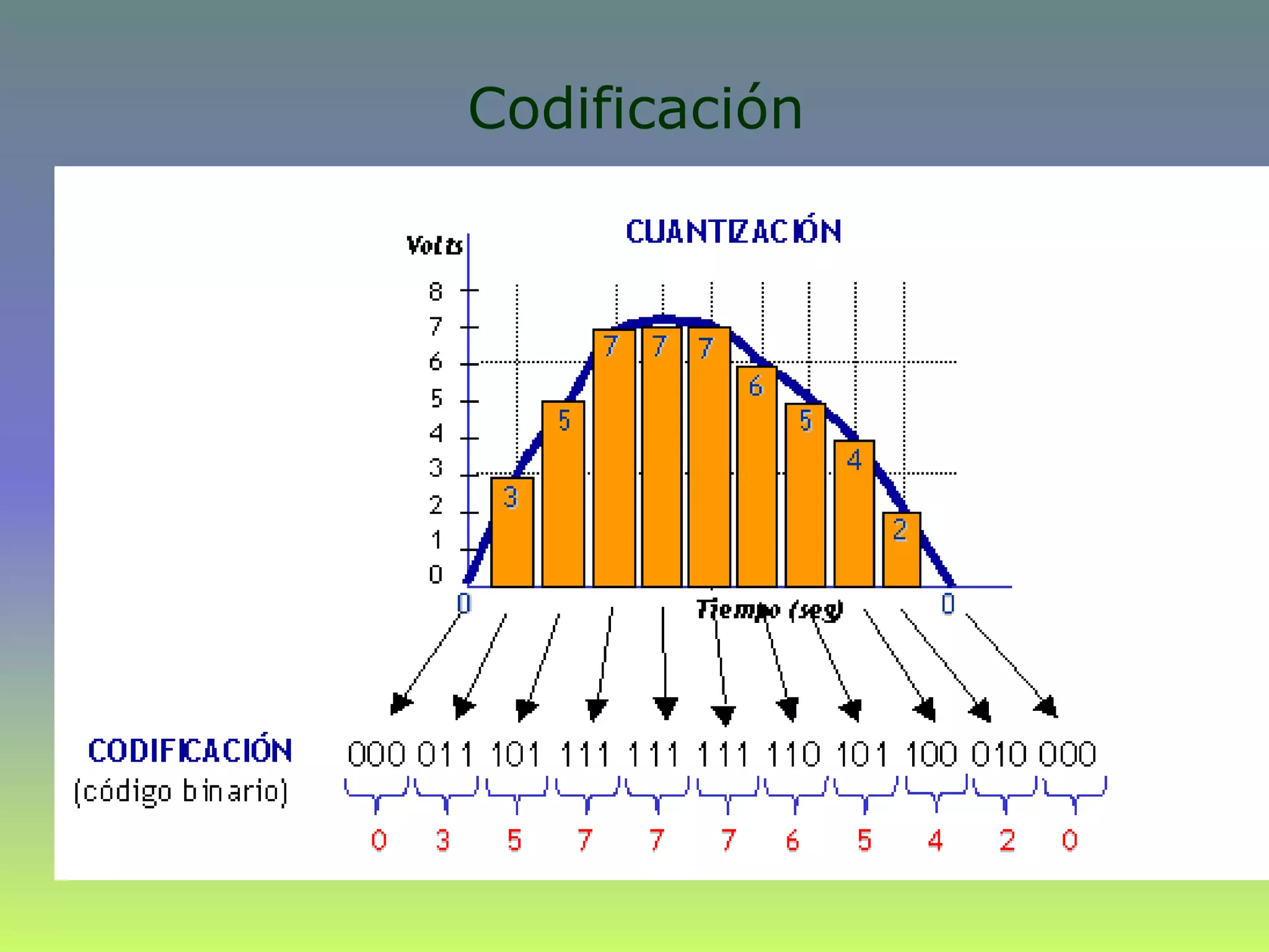 Codificación
:
 