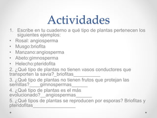 Actividades
1. Escribe en tu cuaderno a qué tipo de plantas pertenecen los
siguientes ejemplos:
• Rosal: angiosperma
• Musgo:briofita
• Manzano:angiosperma
• Abeto:gimnosperma
• Helecho:pteridofita
2. ¿Qué tipo de plantas no tienen vasos conductores que
transporten la savia?_briofitas__________
3. ¿Qué tipo de plantas no tienen frutos que protejan las
semillas?____gimnospermas______
4. ¿Qué tipo de plantas es el más
evolucionado?__angiospermas______
5. ¿Qué tipos de plantas se reproducen por esporas? Briofitas y
pteridofitas________________
 