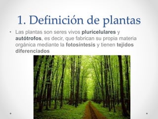 1. Definición de plantas
• Las plantas son seres vivos pluricelulares y
autótrofos, es decir, que fabrican su propia materia
orgánica mediante la fotosíntesis y tienen tejidos
diferenciados
 