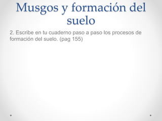 2. Escribe en tu cuaderno paso a paso los procesos de
formación del suelo. (pag 155)
Musgos y formación del
suelo
 