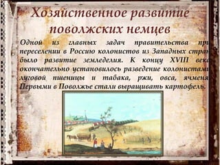 Хозяйственное развитие
поволжских немцев
Одной из главных задач правительства при
переселении в Россию колонистов из Западных стран
было развитие земледелия. К концу XVIII века
окончательно установилось разведение колонистами
луговой пшеницы и табака, ржи, овса, ячменя.
Первыми в Поволжье стали выращивать картофель.
 