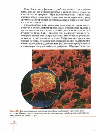 читать учебник для 8 классов под авторством колесова д.в., маша р.д., беляева и.н. биология. раздел человек 2016