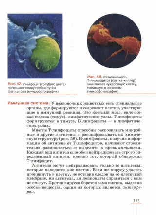читать учебник для 8 классов под авторством колесова д.в., маша р.д., беляева и.н. биология. раздел человек 2016