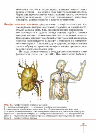 читать учебник для 8 классов под авторством колесова д.в., маша р.д., беляева и.н. биология. раздел человек 2016