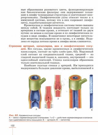 читать учебник для 8 классов под авторством колесова д.в., маша р.д., беляева и.н. биология. раздел человек 2016