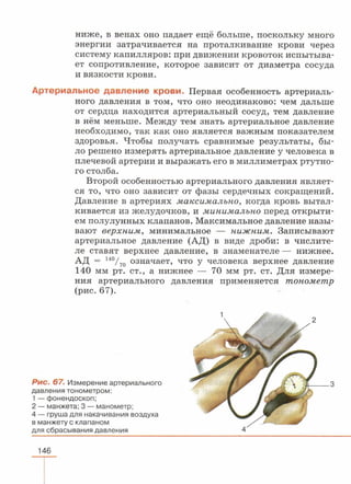 читать учебник для 8 классов под авторством колесова д.в., маша р.д., беляева и.н. биология. раздел человек 2016