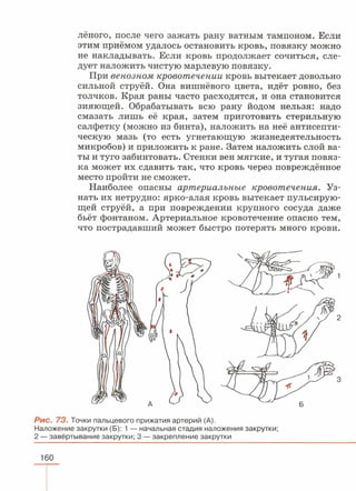 читать учебник для 8 классов под авторством колесова д.в., маша р.д., беляева и.н. биология. раздел человек 2016