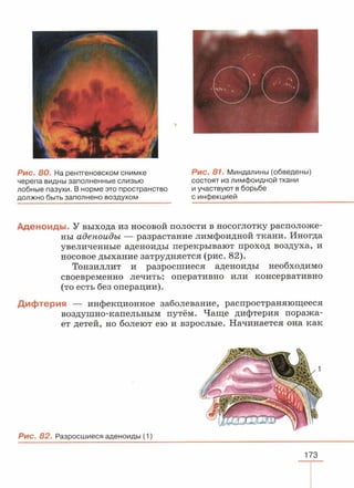 читать учебник для 8 классов под авторством колесова д.в., маша р.д., беляева и.н. биология. раздел человек 2016