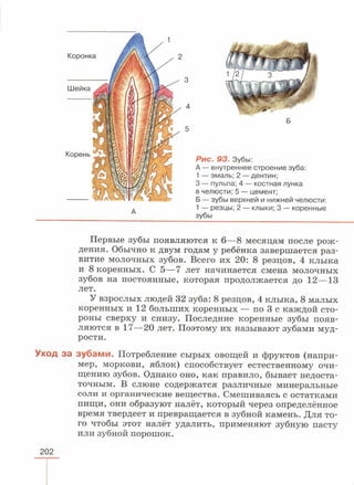 читать учебник для 8 классов под авторством колесова д.в., маша р.д., беляева и.н. биология. раздел человек 2016