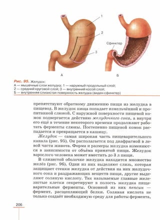 читать учебник для 8 классов под авторством колесова д.в., маша р.д., беляева и.н. биология. раздел человек 2016