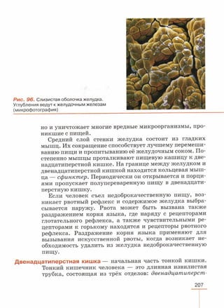 читать учебник для 8 классов под авторством колесова д.в., маша р.д., беляева и.н. биология. раздел человек 2016