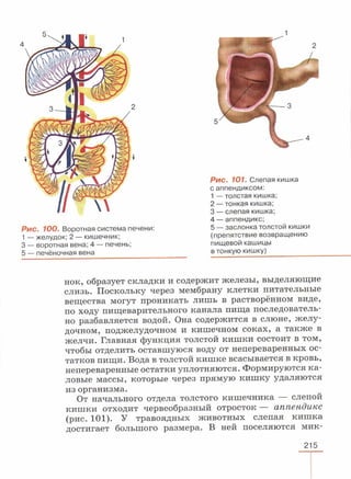 читать учебник для 8 классов под авторством колесова д.в., маша р.д., беляева и.н. биология. раздел человек 2016