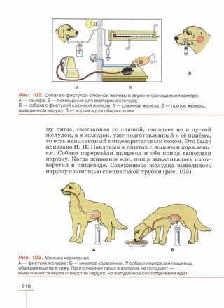 читать учебник для 8 классов под авторством колесова д.в., маша р.д., беляева и.н. биология. раздел человек 2016