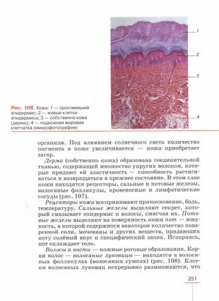 читать учебник для 8 классов под авторством колесова д.в., маша р.д., беляева и.н. биология. раздел человек 2016