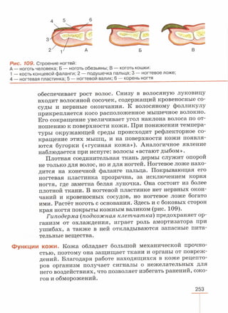 читать учебник для 8 классов под авторством колесова д.в., маша р.д., беляева и.н. биология. раздел человек 2016