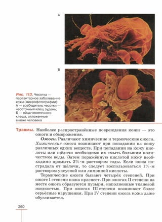 читать учебник для 8 классов под авторством колесова д.в., маша р.д., беляева и.н. биология. раздел человек 2016