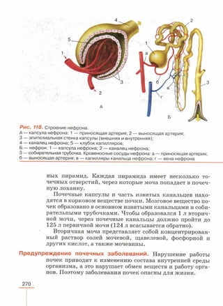 читать учебник для 8 классов под авторством колесова д.в., маша р.д., беляева и.н. биология. раздел человек 2016