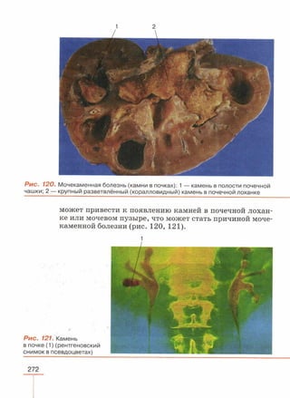 читать учебник для 8 классов под авторством колесова д.в., маша р.д., беляева и.н. биология. раздел человек 2016