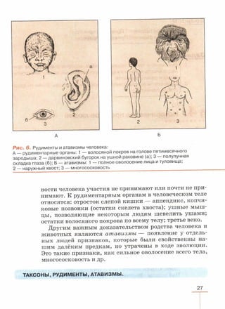 читать учебник для 8 классов под авторством колесова д.в., маша р.д., беляева и.н. биология. раздел человек 2016