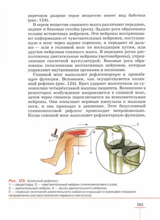 читать учебник для 8 классов под авторством колесова д.в., маша р.д., беляева и.н. биология. раздел человек 2016