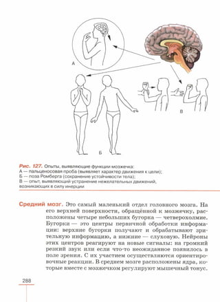 читать учебник для 8 классов под авторством колесова д.в., маша р.д., беляева и.н. биология. раздел человек 2016